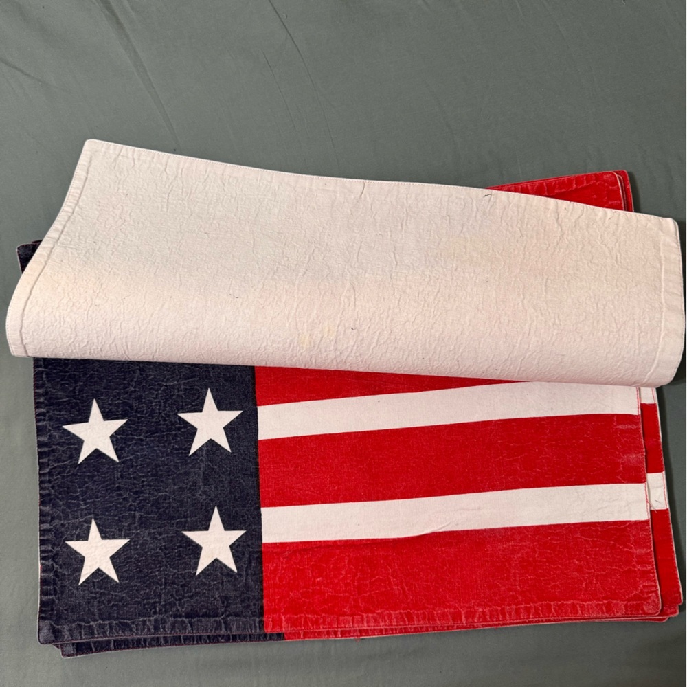 Six Placemats plus Two Kitchen Towels